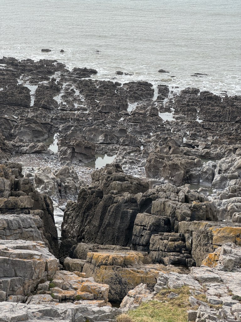 Layers of rocks on the coast