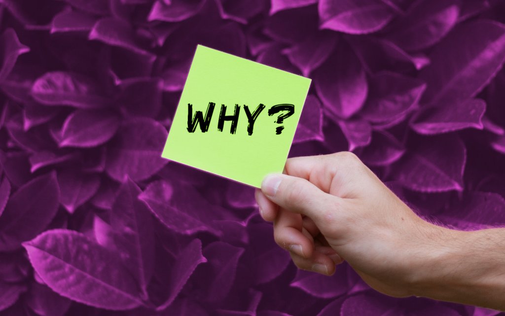 Why did I write Between Two&nbsp;Worlds?